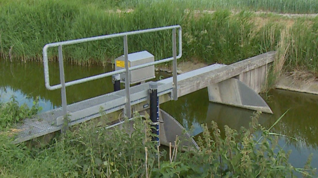 Willie Wortel krijgt de ruimte bij waterschap