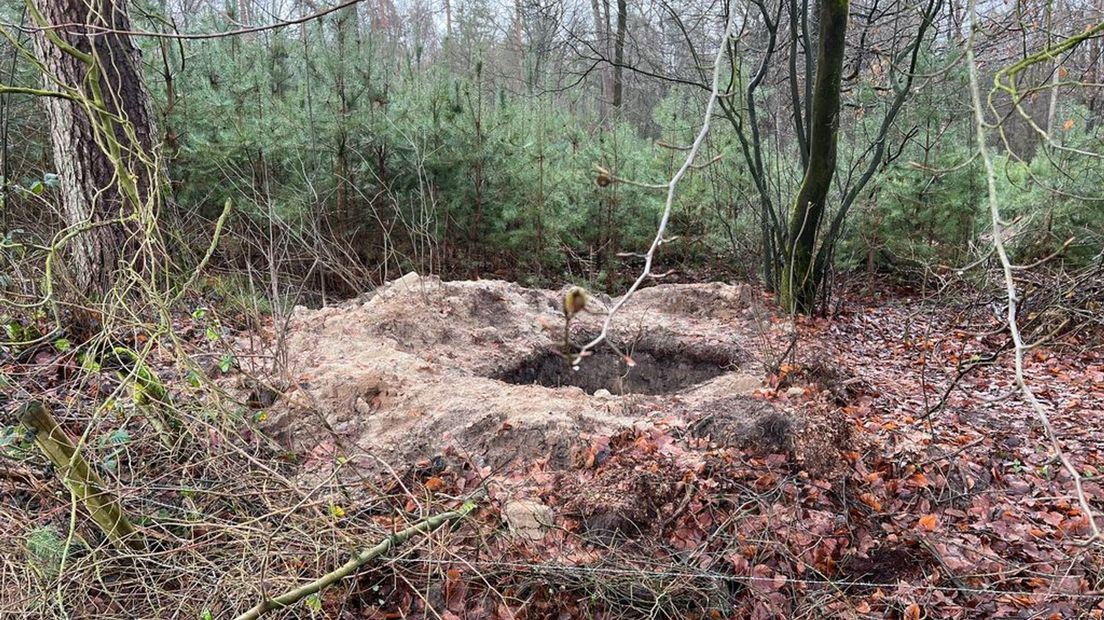 De kuil is gegraven op het bosperceel Kranekamp bij Schalkhaar.