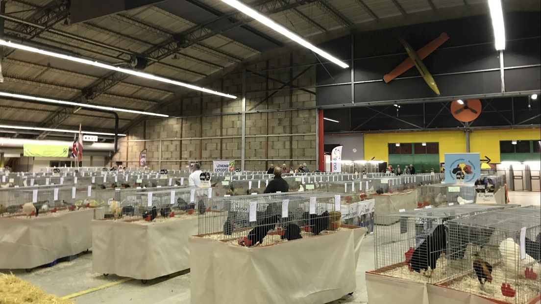 Een hangar vol dieren op Vliegbasis Twenthe