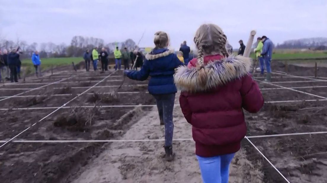 Kinderen planten bomen in het eerste tiny forest van Drenthe (Rechten: RTV Drenthe)