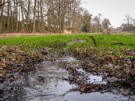 Landschap Overijssel pleit voor langer vasthouden van water in beken
