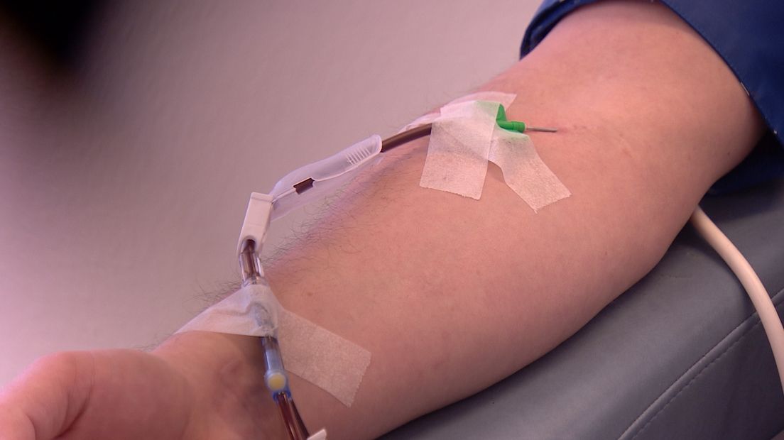 Nieuw Zeeuws bloed meldt zich