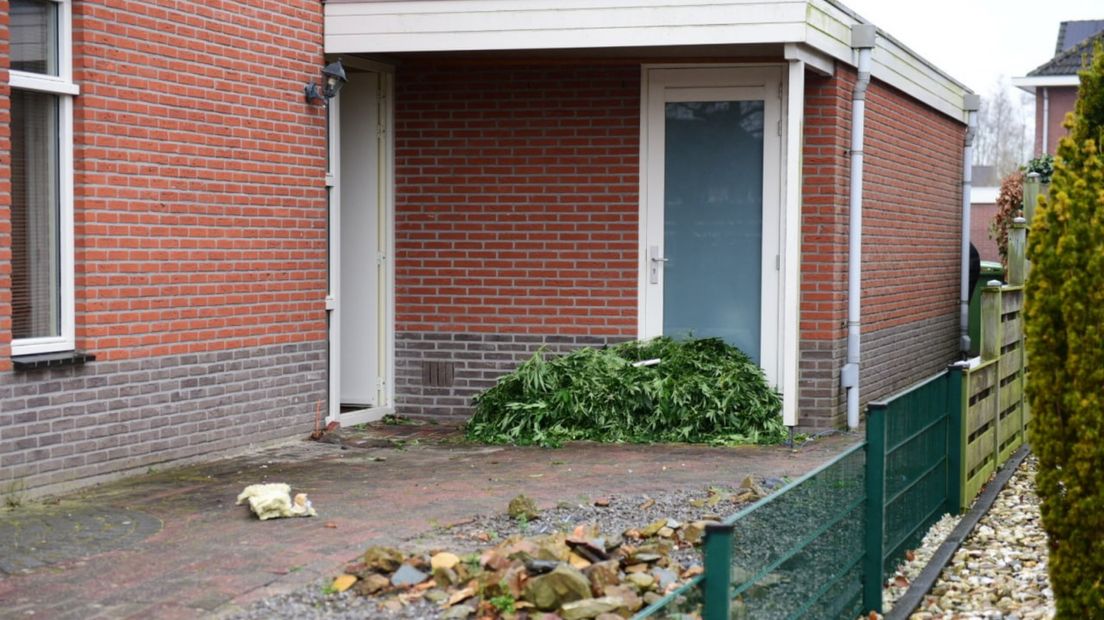 In de woning zijn 499 planten aangetroffen