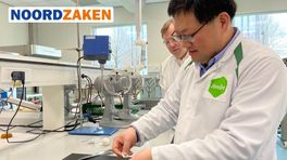 Voor Avebe is de aardappel niet langer het enige klompje goud
