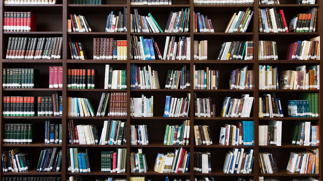 De provincie Drenthe investeert in de bibliotheken (Rechten: Pixabay)