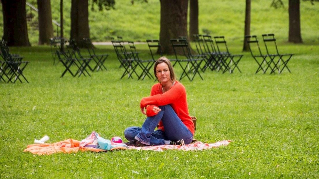 Picknick in het Park