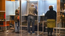 Gebeten door een hond en stemmer wordt aangereden, dit gebeurde in het stembureau