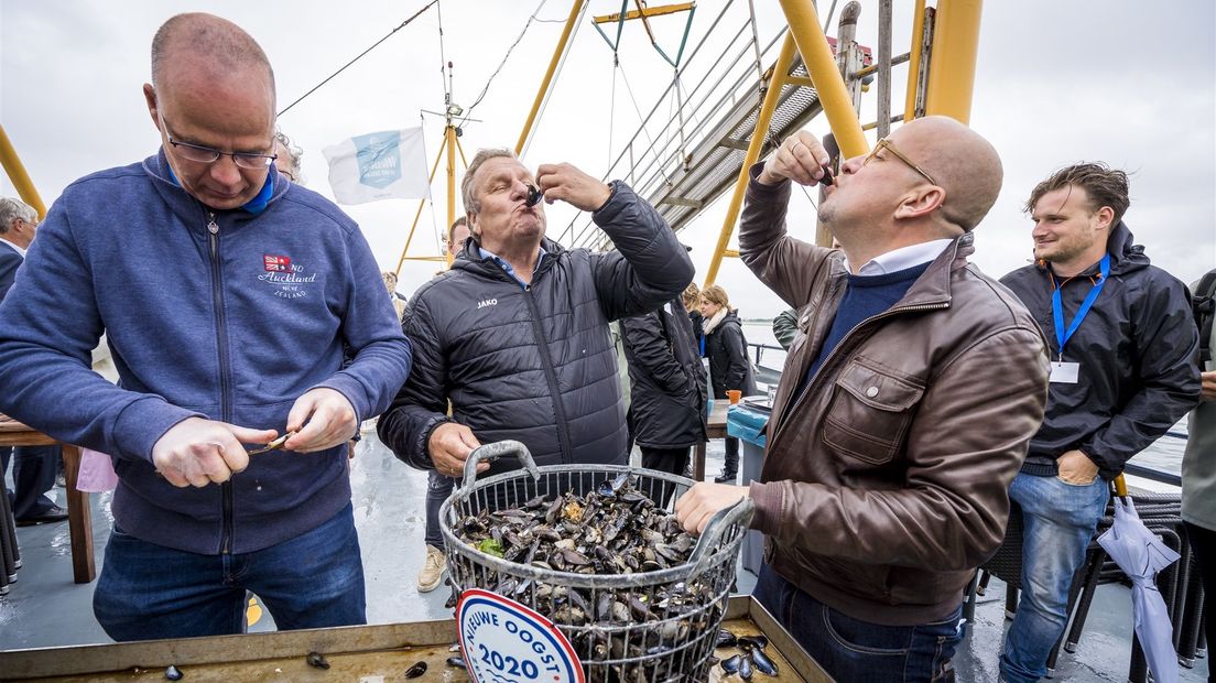 Van deze mosselrecepten loopt het water je in de mond