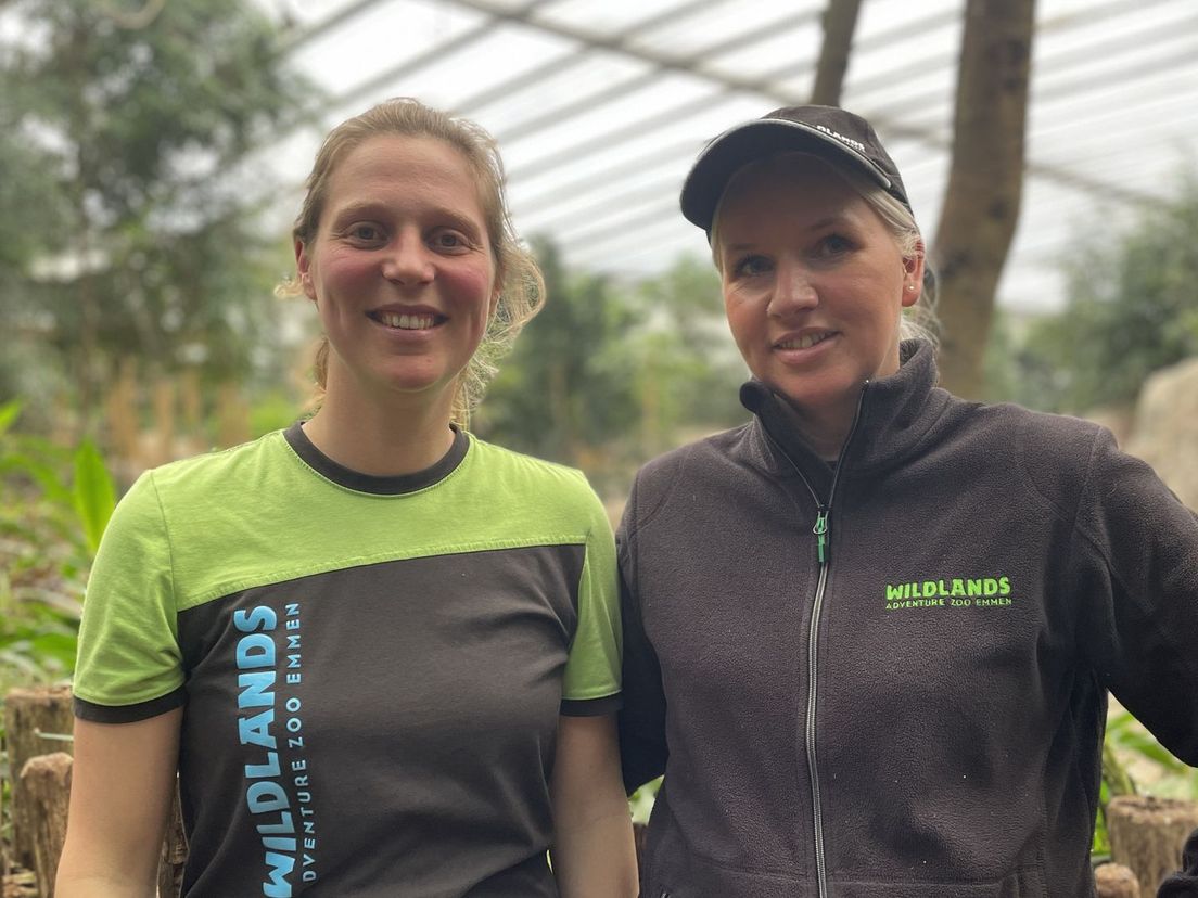 Olifantenverzorgsters Lisa Schurman en Roxanne Boer van Wildlands