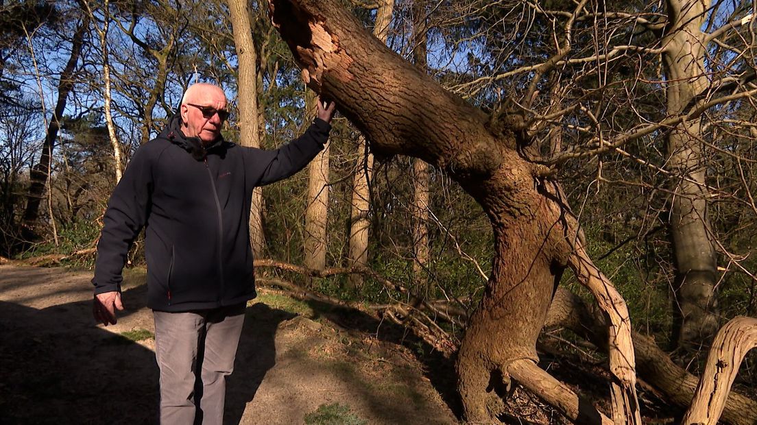 Geert Veen bij Oerboom in Drents Friese Wold