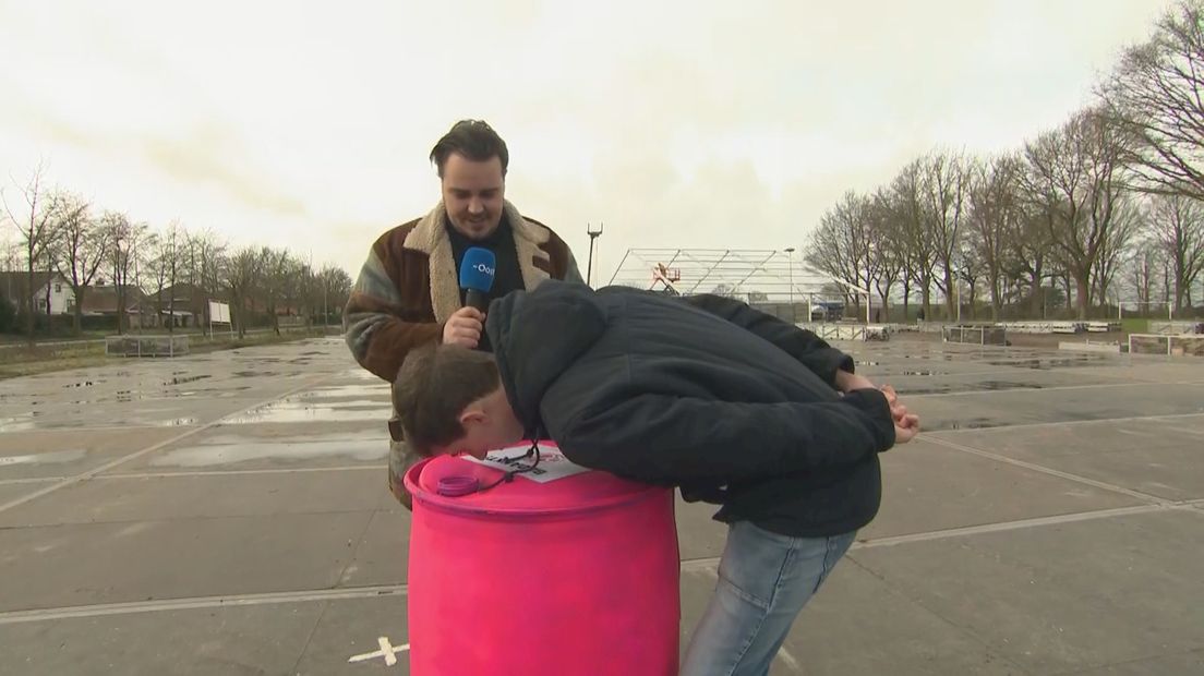 Doppen inzamelen in albergen
