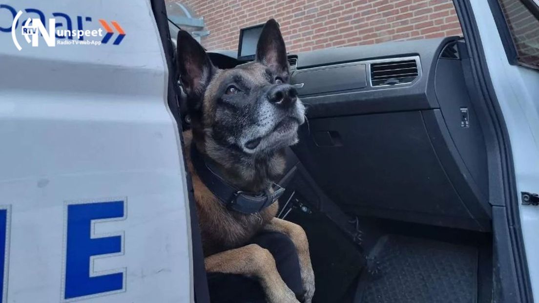 Politie vol lof over prestatie speurhond Dirk.