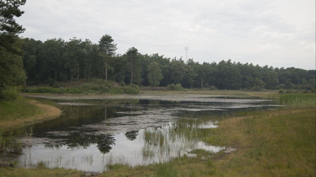 'Provincie schiet tekort bij uitvoering compensatiemaatregelen voor bouw in natuur'