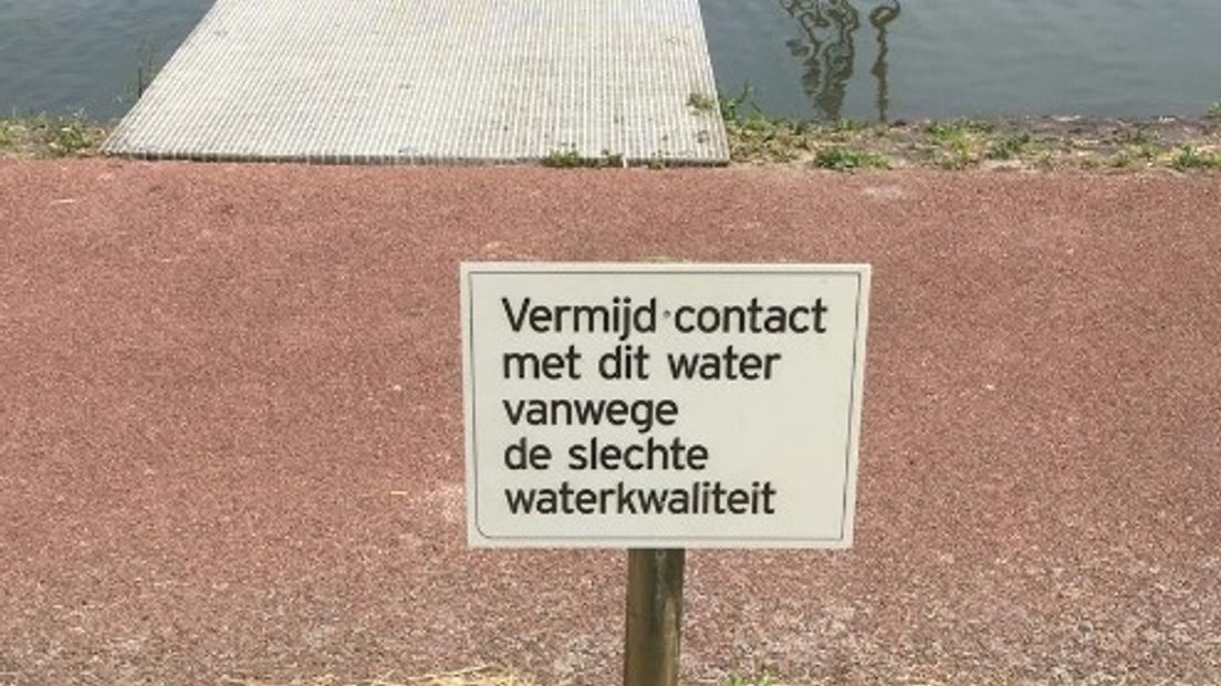 Blauwalg in haventje Otheense Kreek