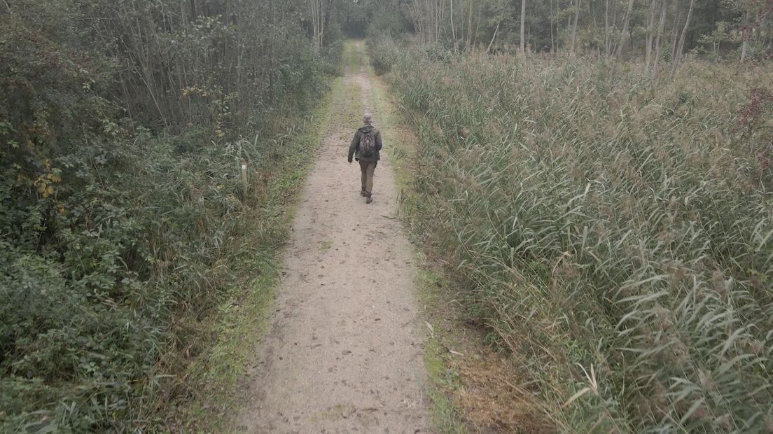 Ecoloog Wim Verheugt wandelt door het Natura2000-gebied bij Overlangbroek