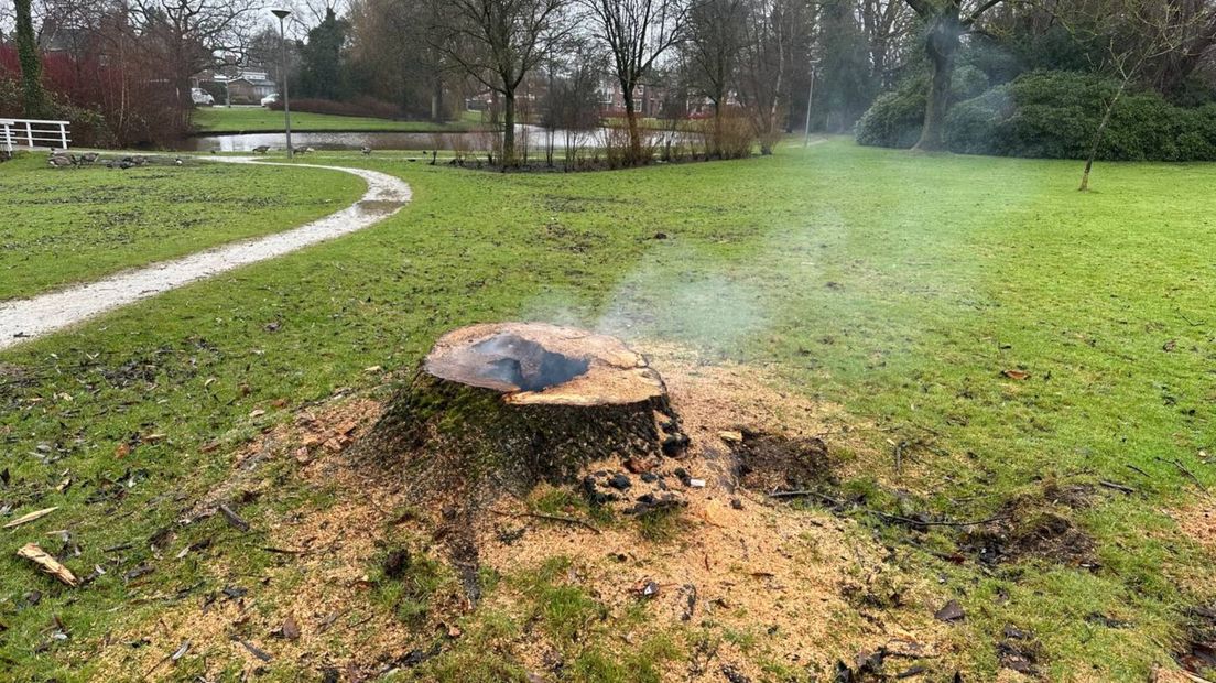 Er komt rook uit de boomstronk
