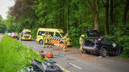 Gewonden bij ongeval • politie zoekt paardenmeisje