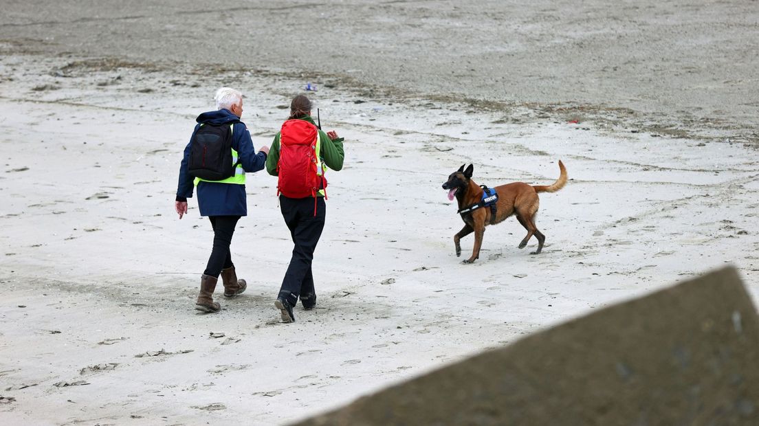 Een opsporingsteam met hond op het strand