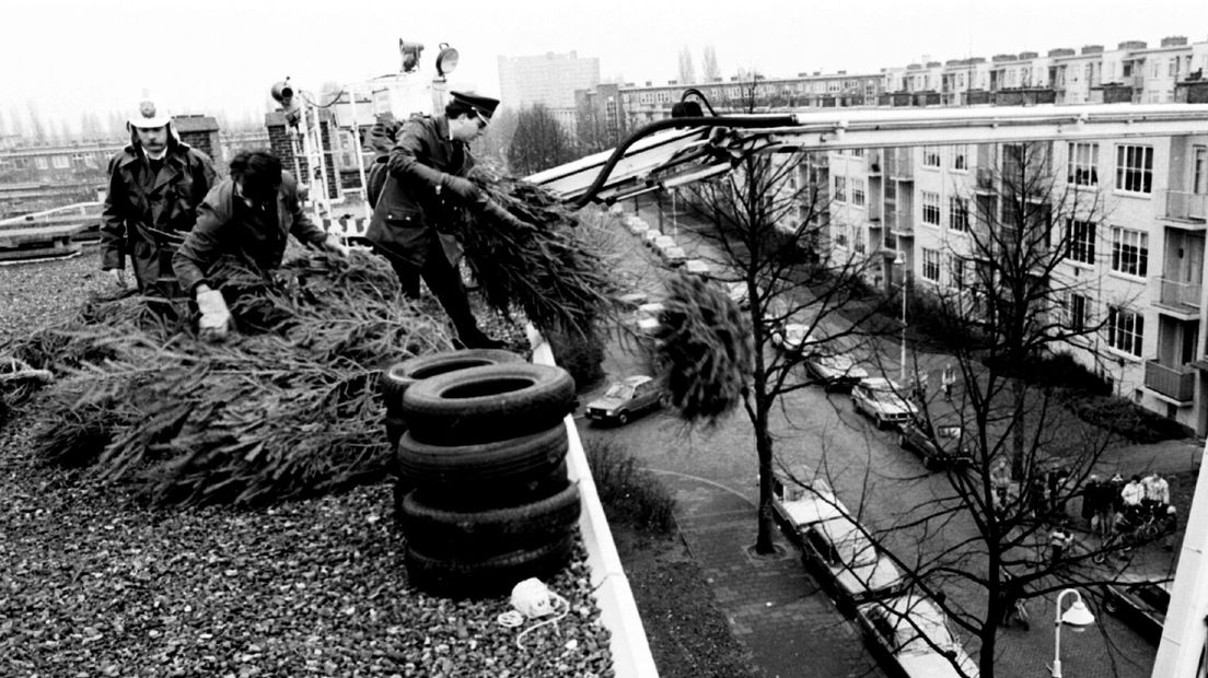 Inbeslagname ven kerstbomen en autobanden in Pieter Langendijkstraat (1982)