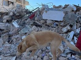 Drentse hulpverleners vertrekken uit Turks rampgebied: 'Dit is met niets te vergelijken'
