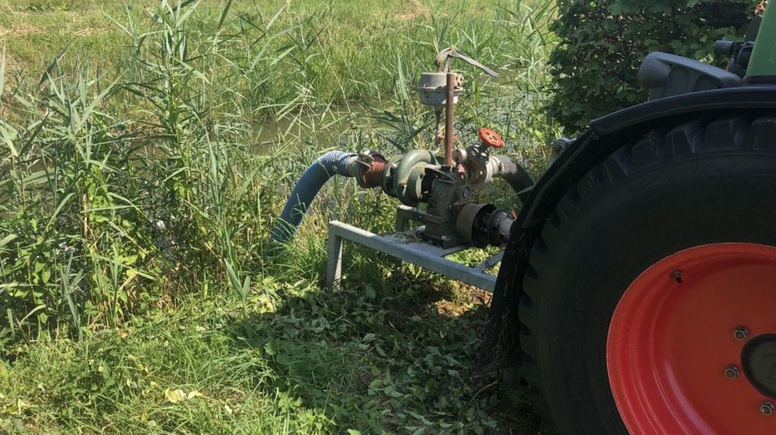 Het oppompen van water voor de gewassen.