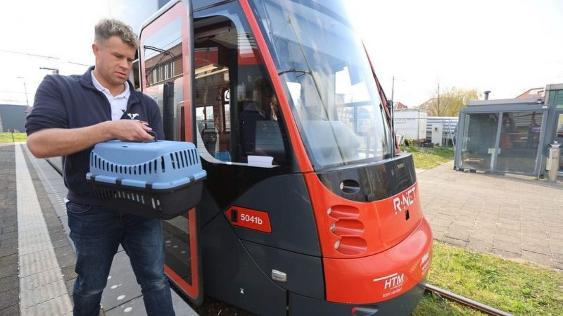 Dierenambulancemedewerker John haalt de kat op