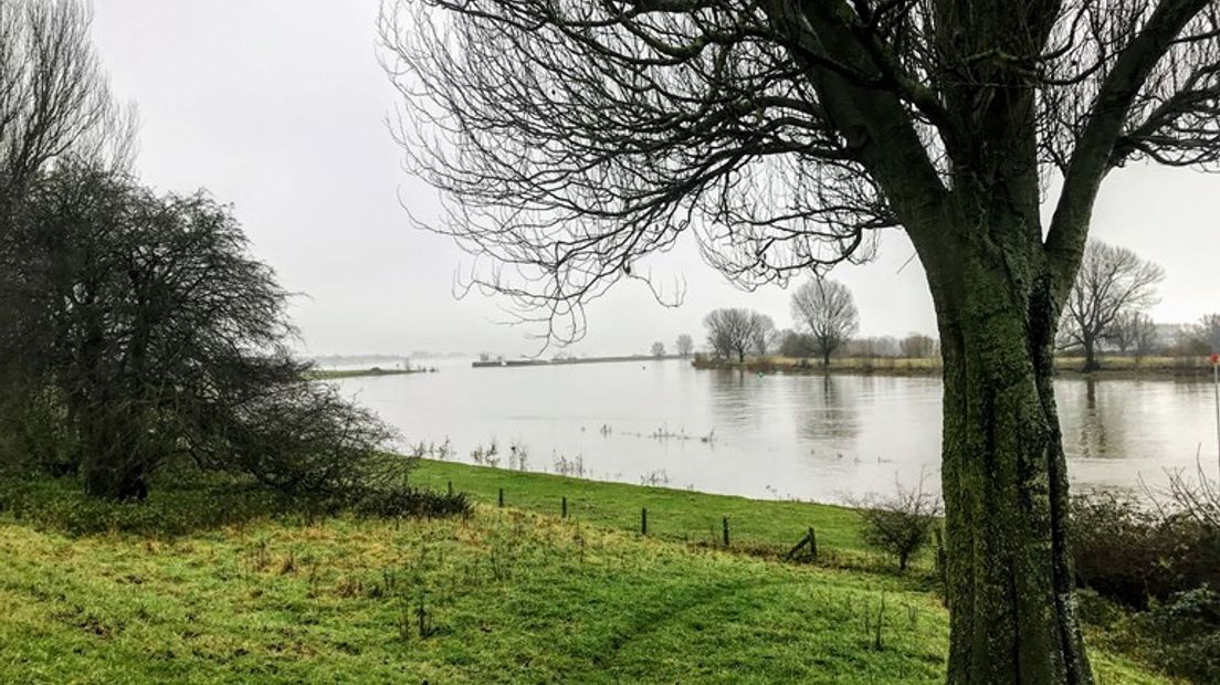 Natuurgebied Fort de Voorn Bron: Laurens TIjink