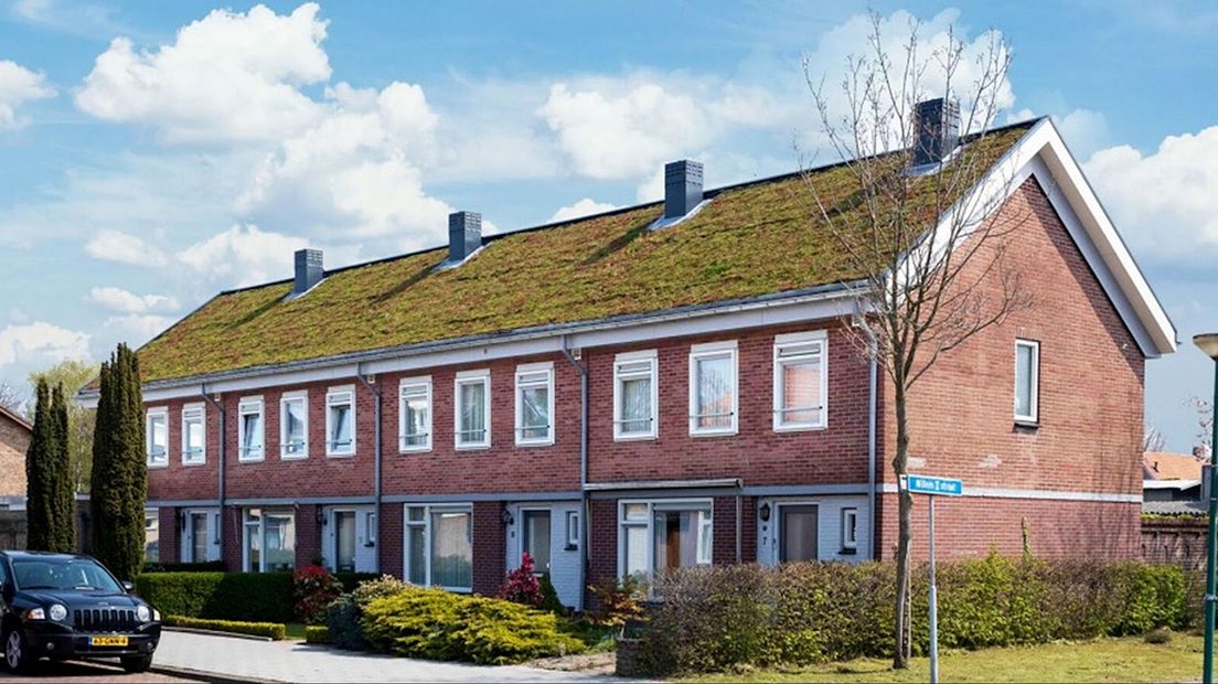 Groene daken op woningen van wooncorporatie Casade in Kaatsheuvel