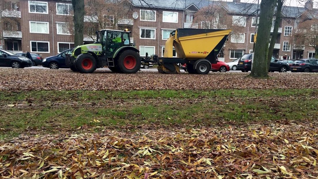 In Zwolle is de gemeente inmiddels begonnen met bladruimen