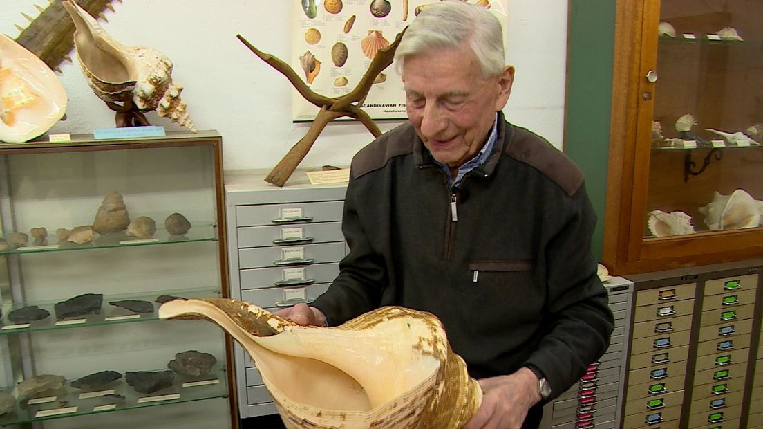90-jarige eigenaar Schelpenmuseum Zaamslag denkt nog niet aan stoppen