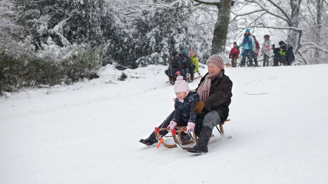 Sneeuwpret in het Noorderplantsoen