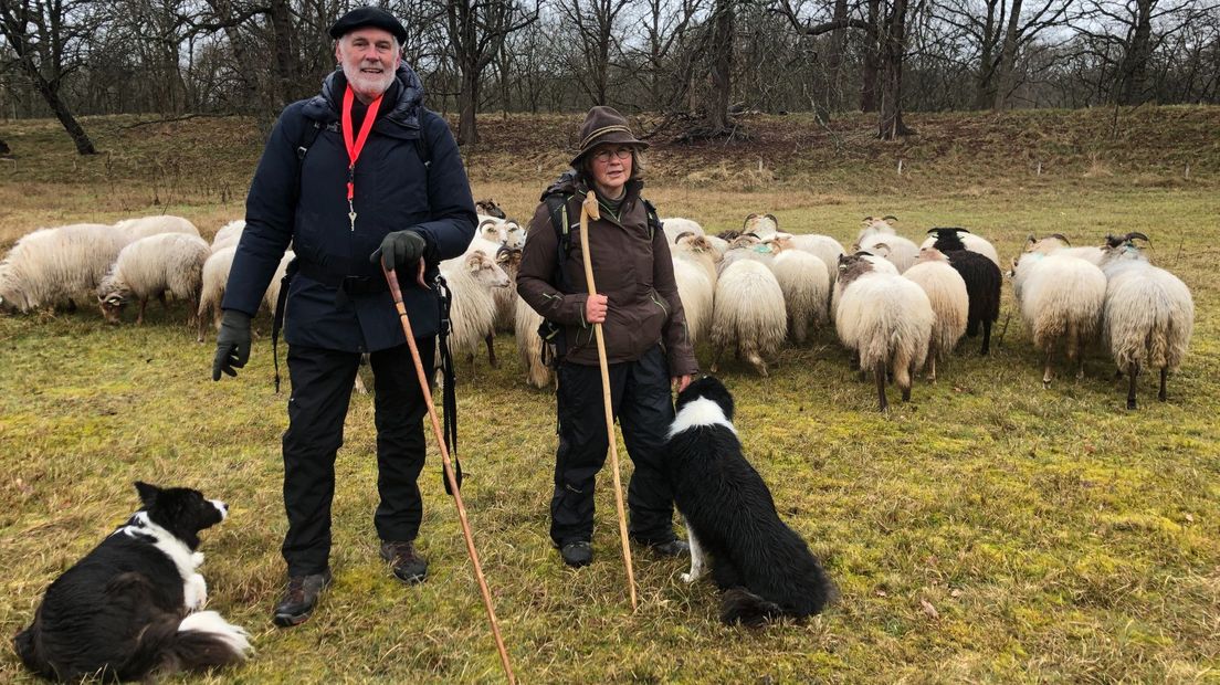 Schaapskudde van Dunea met herders in Meyendel