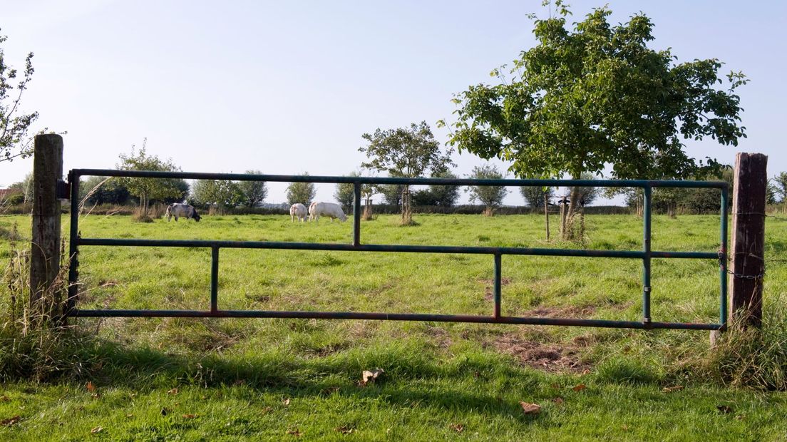 boerderijgrond