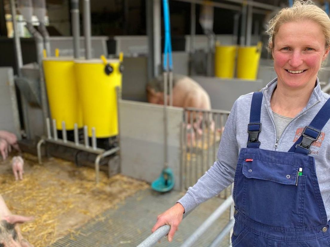 Varkenshoudster Nieske heeft een unieke stal: ieder varken een eigen bungalow