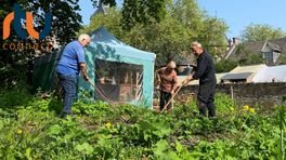 Huis Sevenaer trapt het moestuinseizoen af: 'Zo ontzettend biologisch'