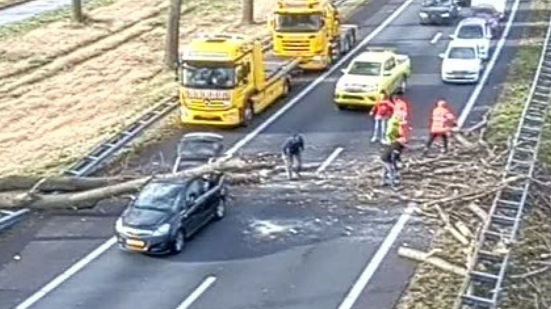 Op de A20 kwam een boom op een auto terecht