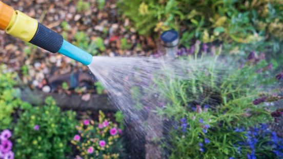 Hier wordt het droogterecord verpulverd