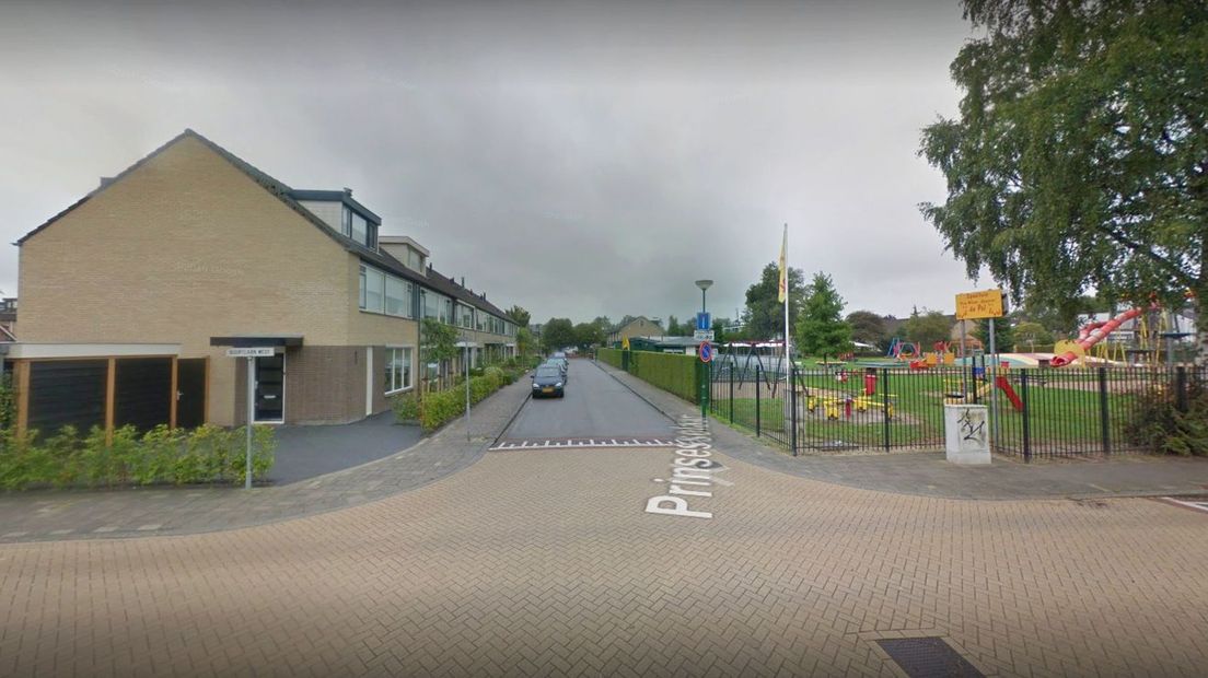 De Prinsesselaan en speeltuin De Pol.