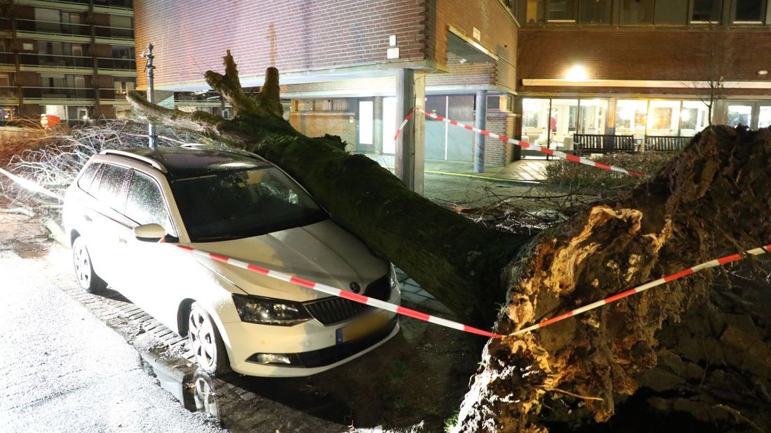 Een omgevallen boom landt op een geparkeerde auto in de Neptunusstraat