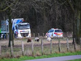 Wandelaar treft dode man aan bij Oude Maas, politie onderzoekt doodsoorzaak