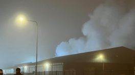Grote brand in industrieel pand Stein