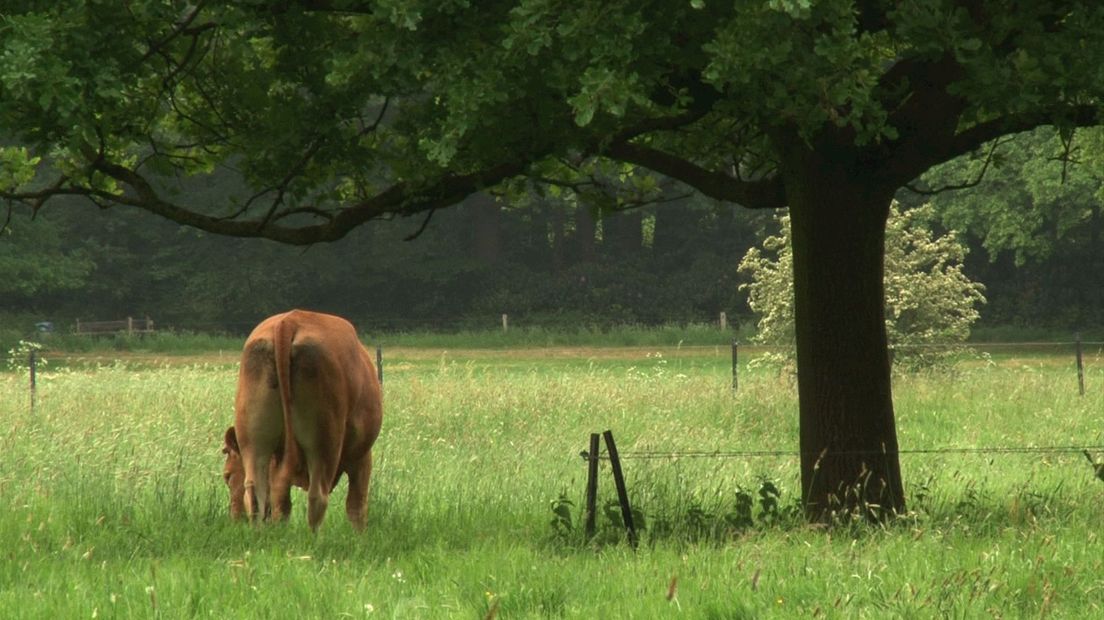 Landbouwgrond bij Almelo in de aanbieding