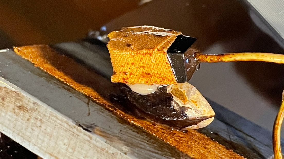 Een met een sensor uitgeruste mossel