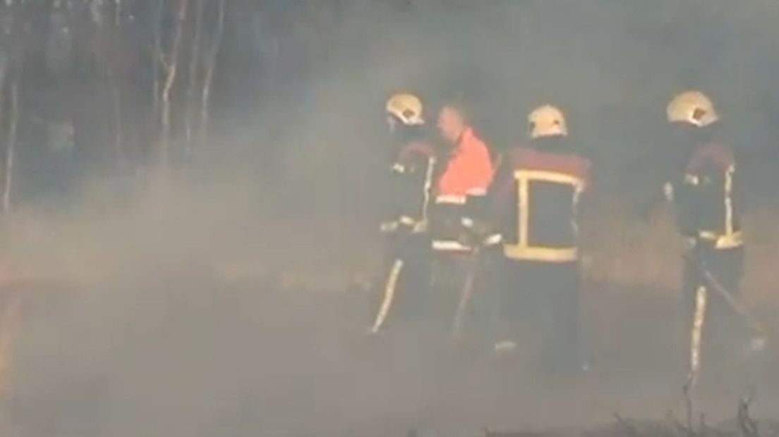 Brand
