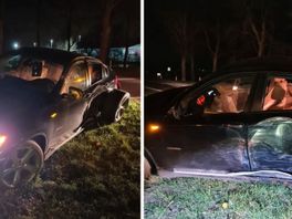 Politiehond Luuk vindt autodief na achtervolging door sloot in Goes