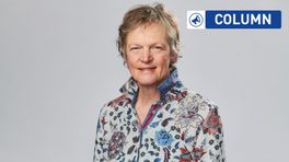 Zomercolumn: Geknok in de voortuin