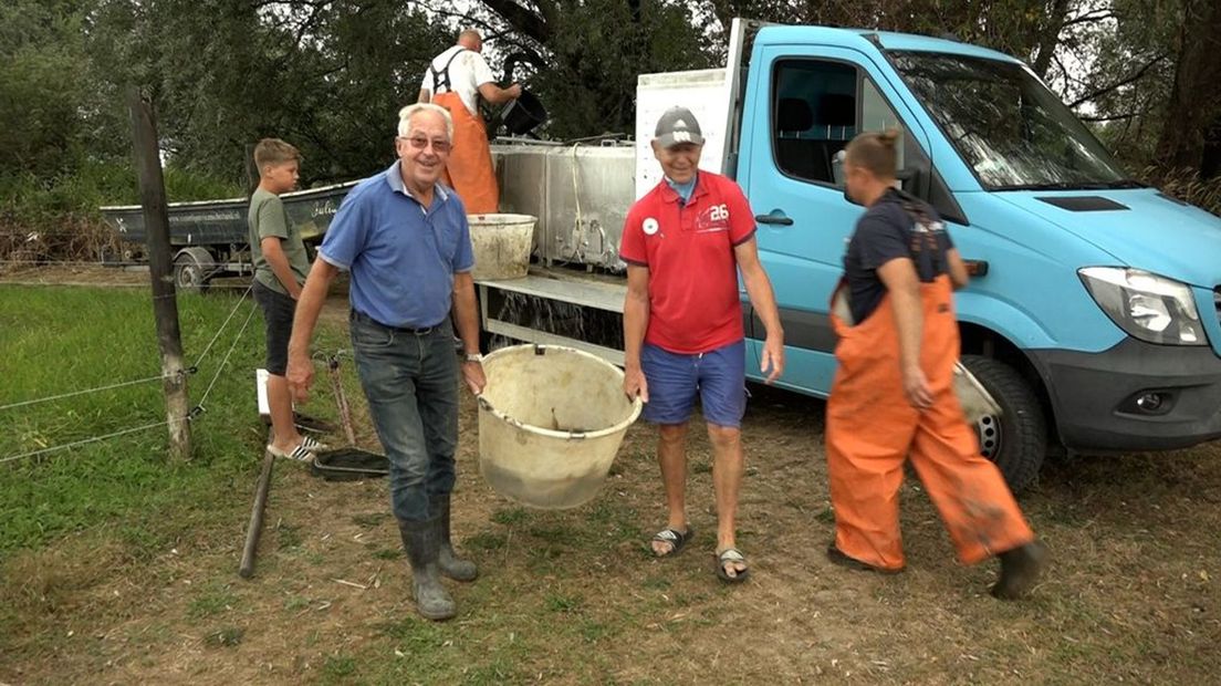 Leden van HSV Dodewaard brengen een bak met met name karpers in veiligheid.
