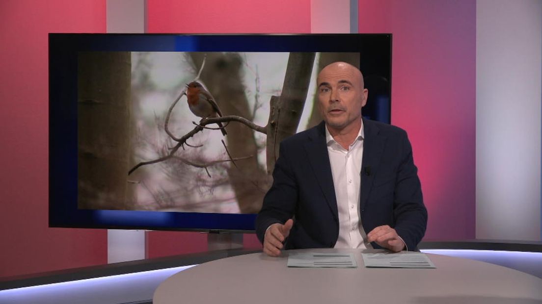 TV West Nieuws