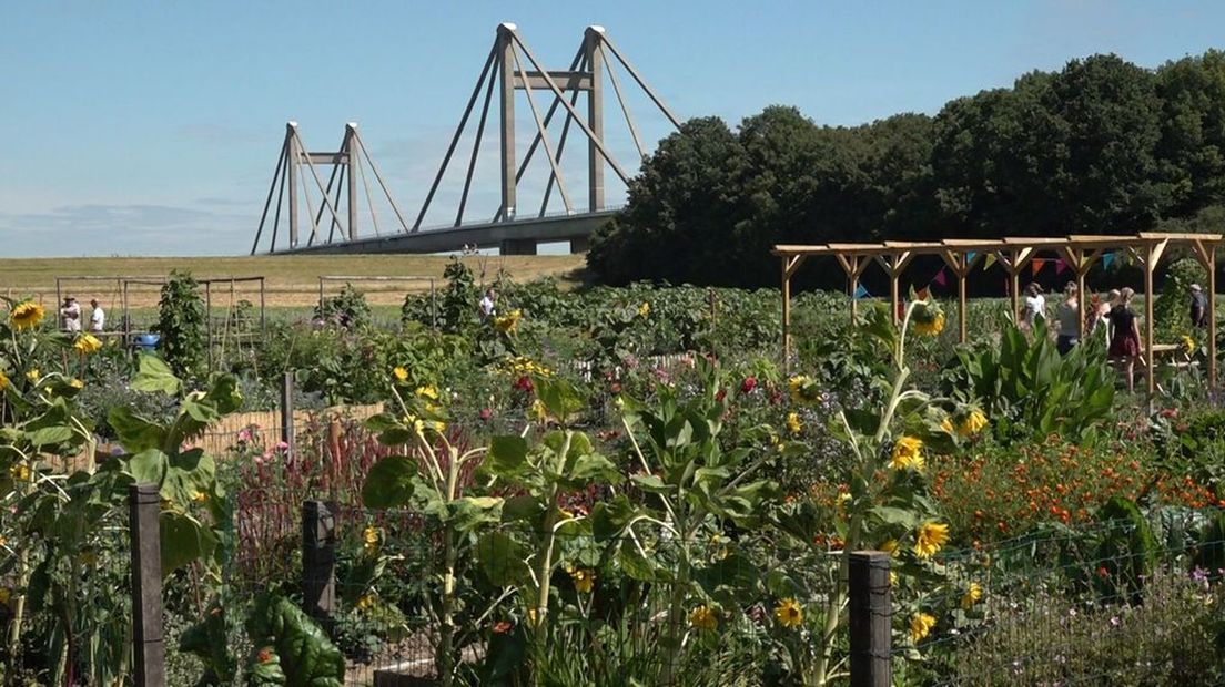 Het complex bij de Prins Willem-Alexanderbrug.