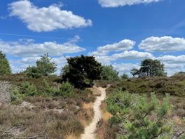 Friezen zijn het niet eens over wat natuur precies is, belangrijk vinden ze het wel
